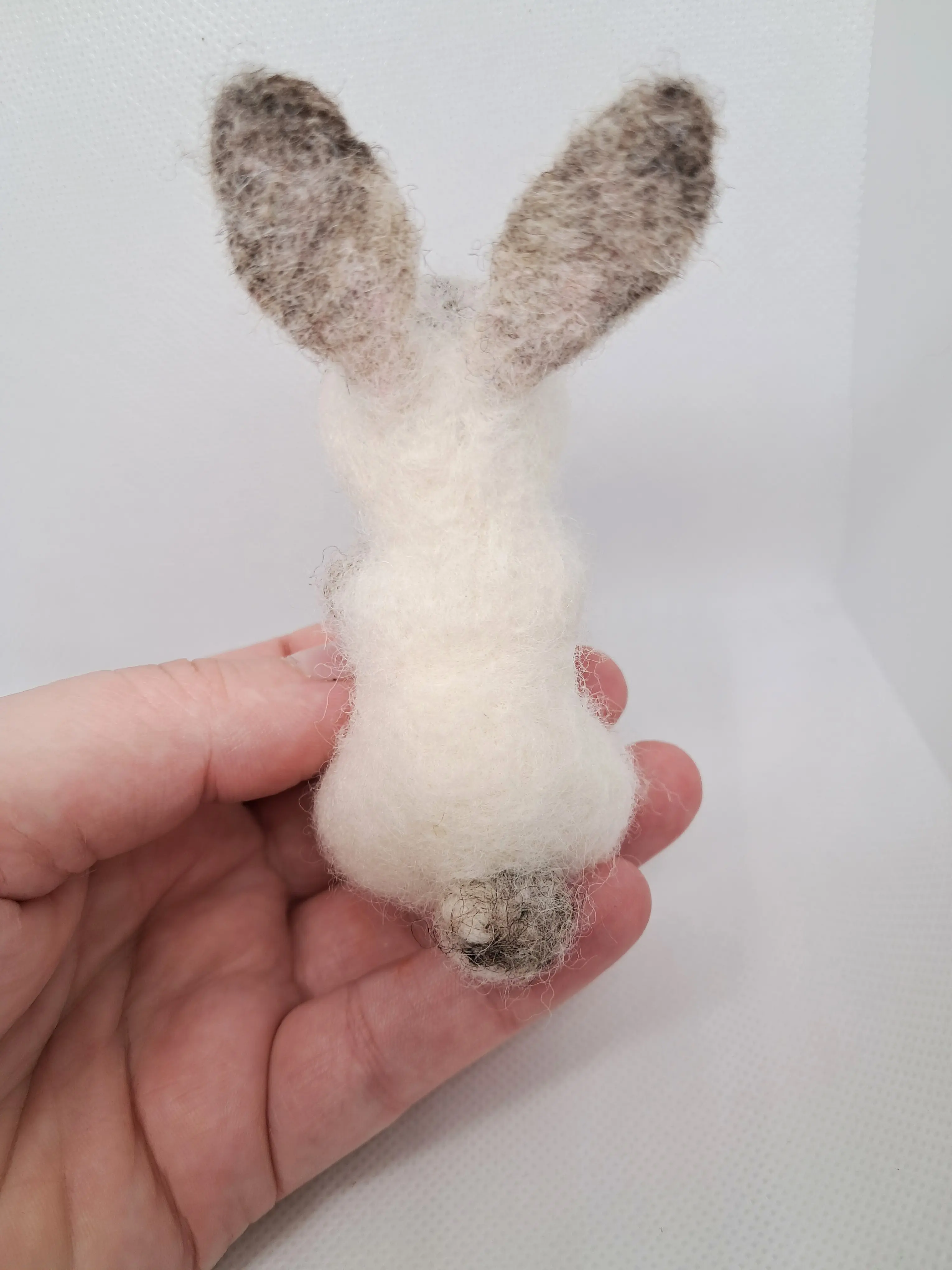 Бял Заек – thumbnail 4